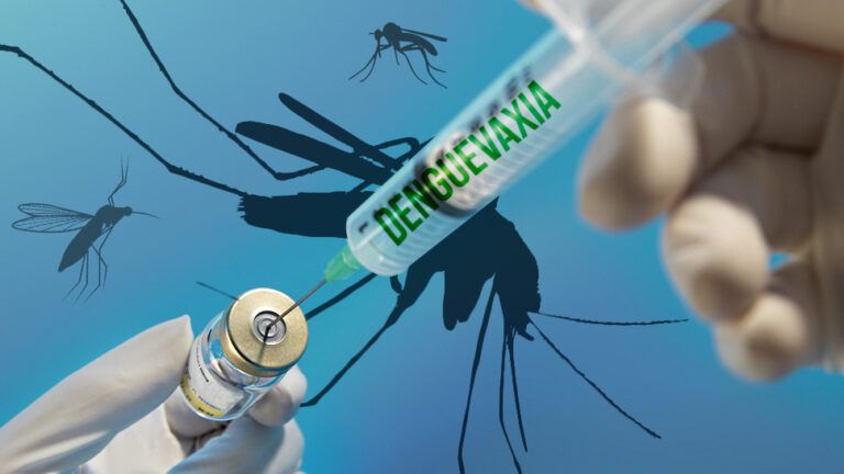 Tiêm vắc xin sốt xuất huyết đầy đủ giúp ngăn ngừa nguy cơ chuyển biến thành các thể bệnh nặng