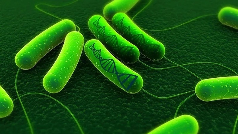 Vi khuẩn H.pylori và chế độ ăn uống không lành mạnh là những tác nhân hàng đầu gây K dạ dày 