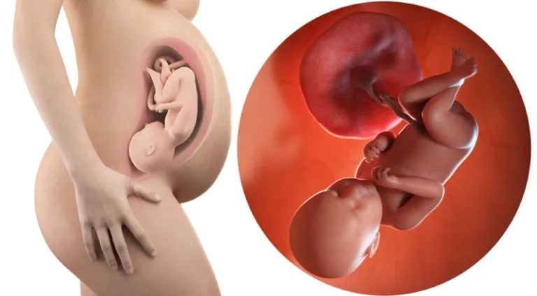 Cân nặng thai nhi tháng cuối cần được theo dõi sát sao để tránh các rủi ro do thừa cân hoặc thiếu cân khi sinh